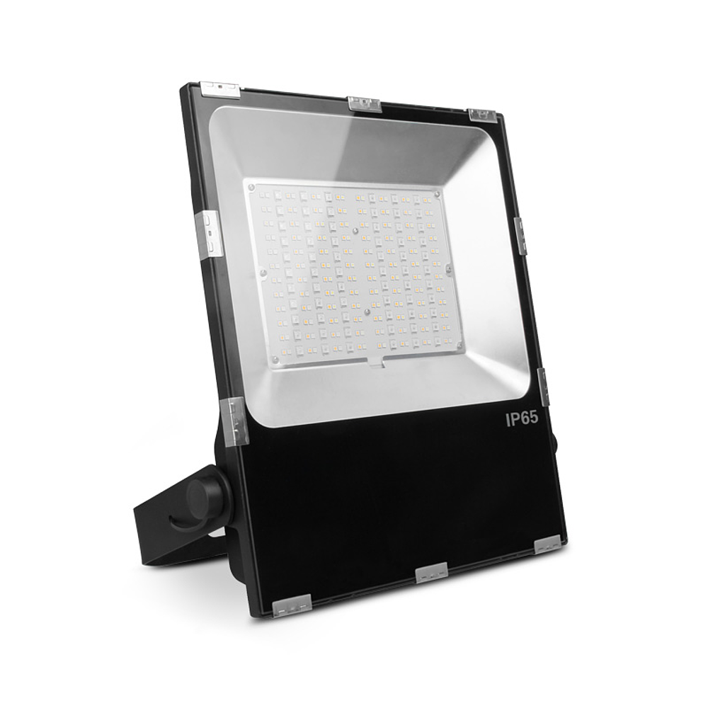 ARCHEO RGB + BLC PROJECT 100W